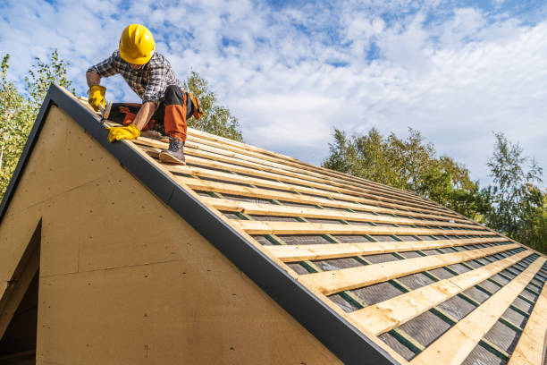Best Roof Gutter Cleaning  in East Hemet, CA